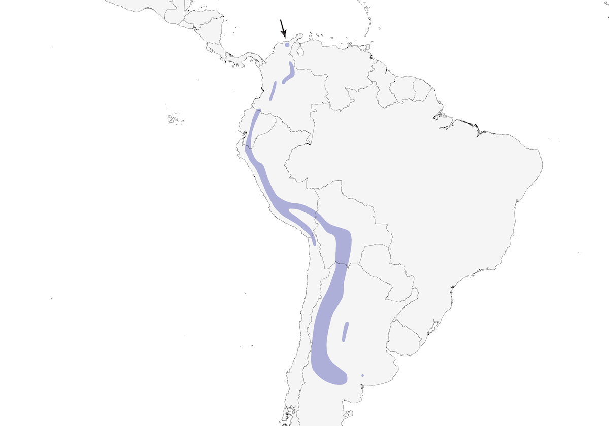 Semillero colifajado, Distribución 1