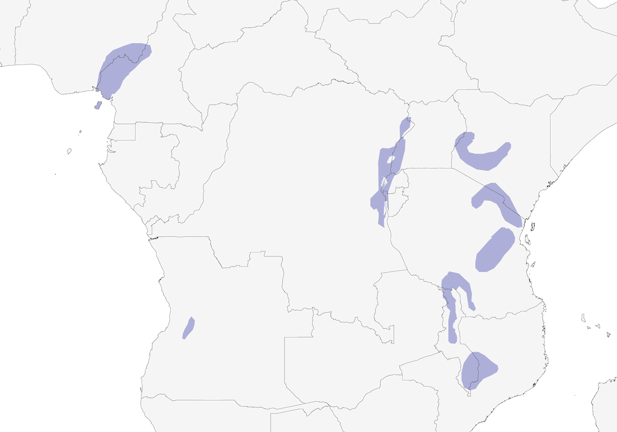 Bar-tailed Trogon, Distribution 1