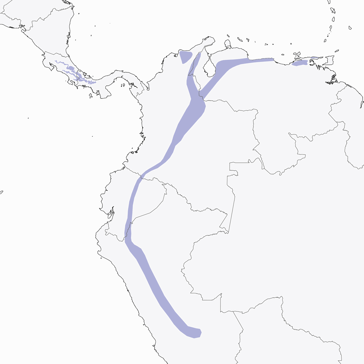 Black-and-white Becard, Distribution 1