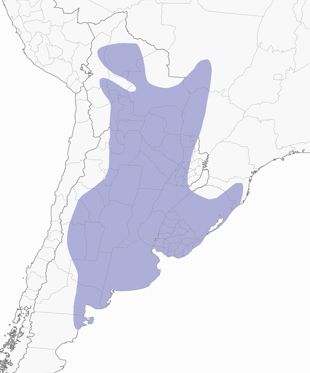 Vacher bai, Distribution 1