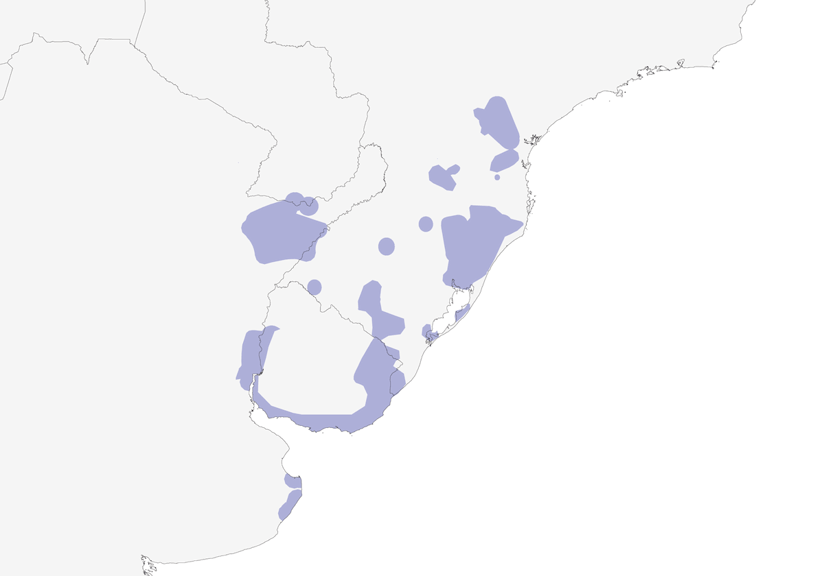 Monjita dominicana, Distribuzione 1