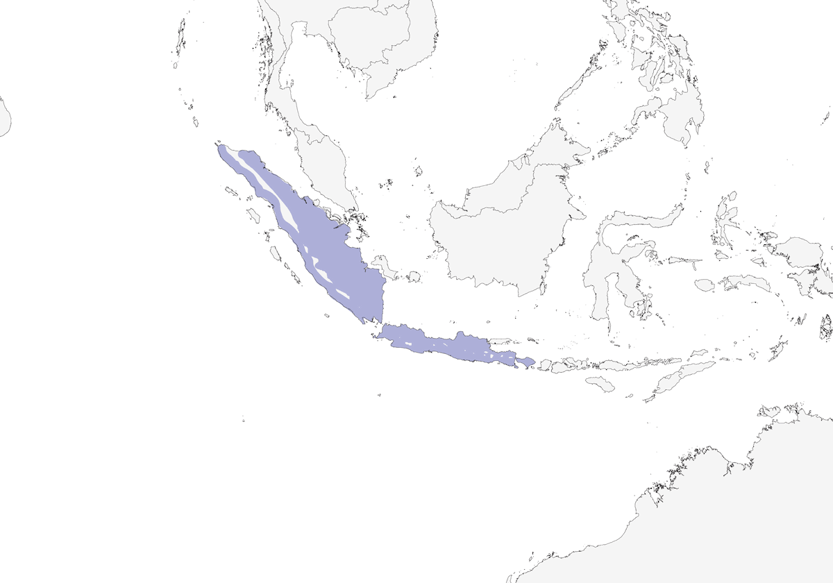 Prinia alibarrate, Distribuzione 1