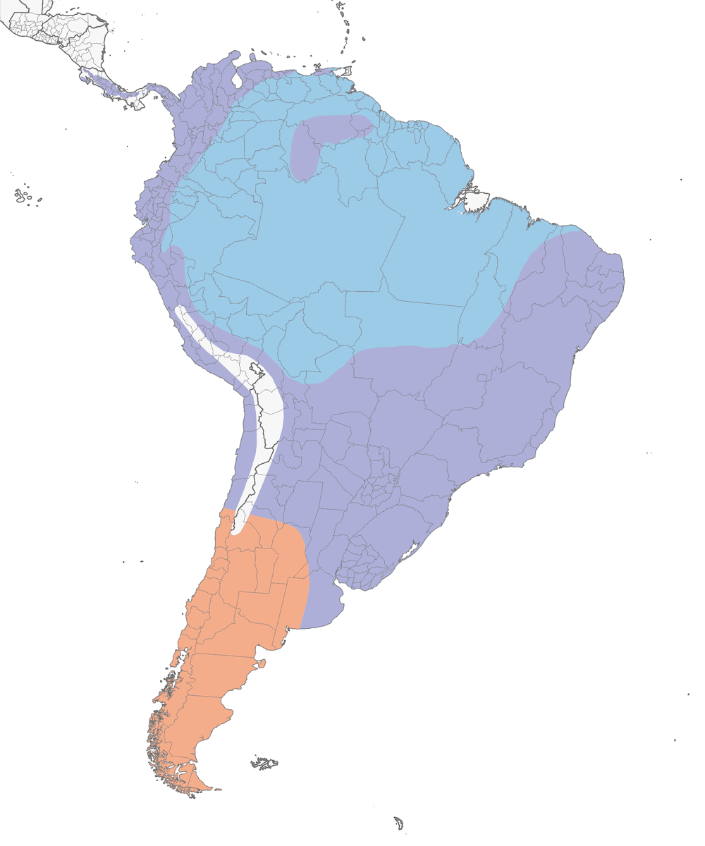 Blue-and-white Swallow, Distribution 1