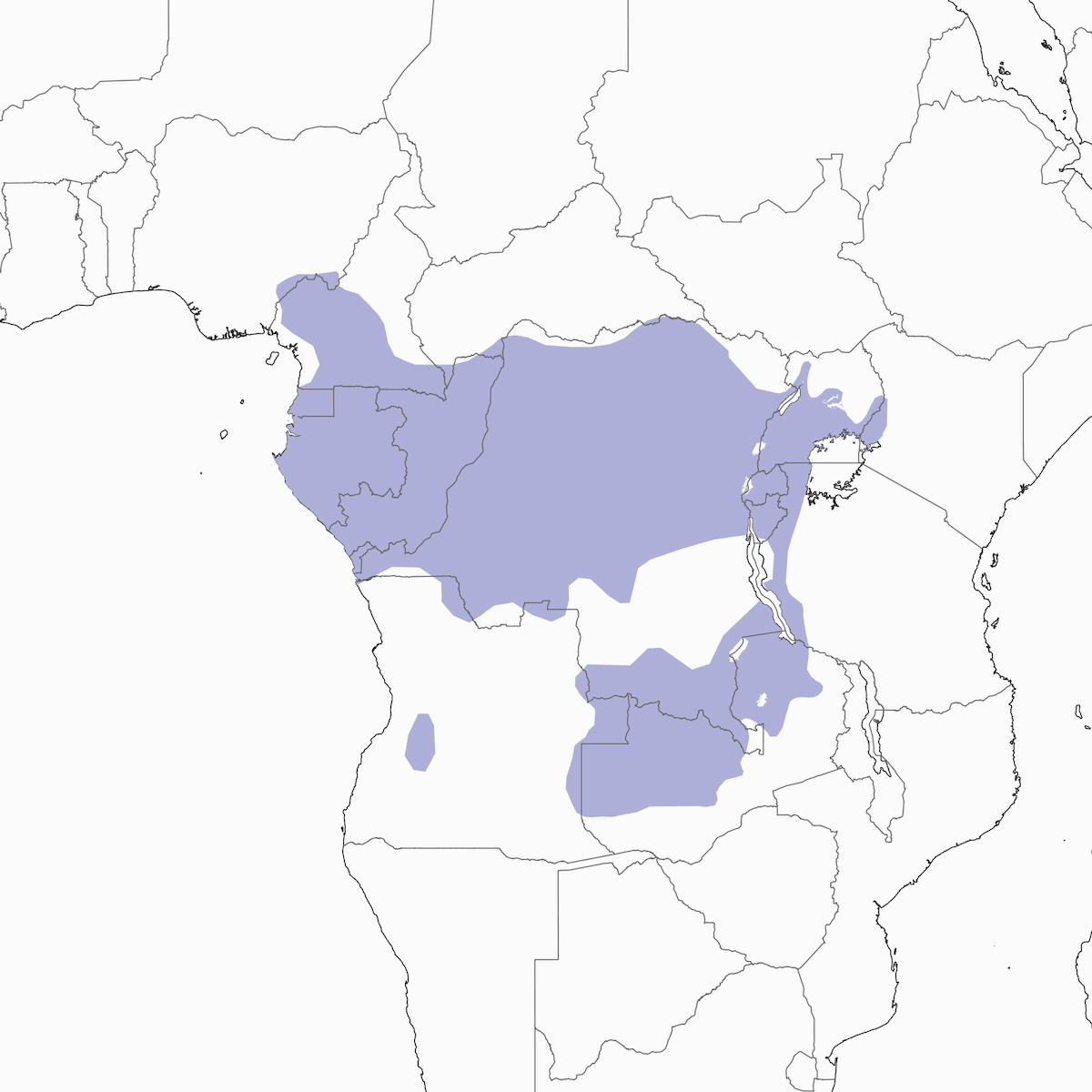 Abejaruco Pechiazul, Distribución 1
