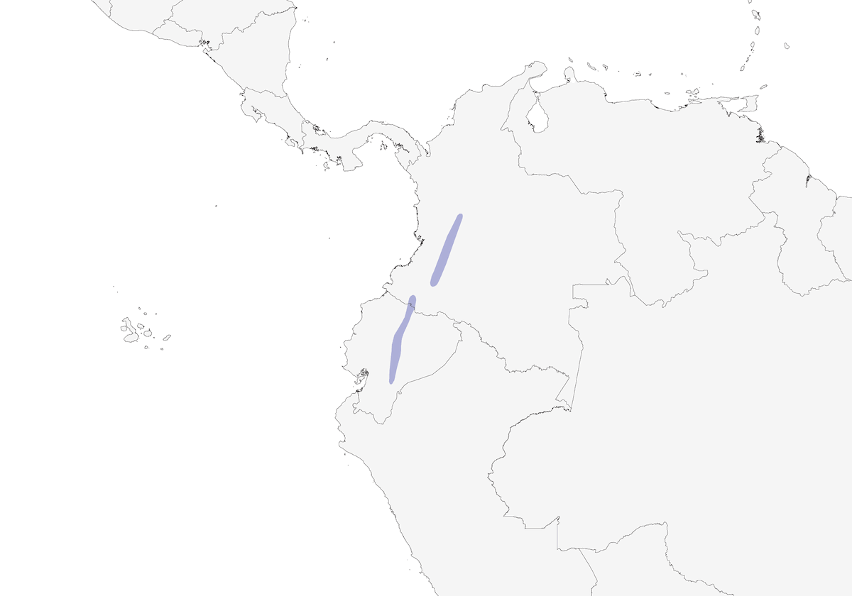 Tangara delle boscaglie dorso nero, Distribuzione 1
