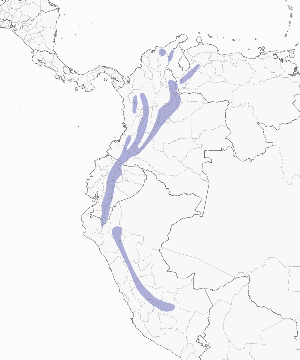 Buff-breasted Mountain Tanager, Distribution 1