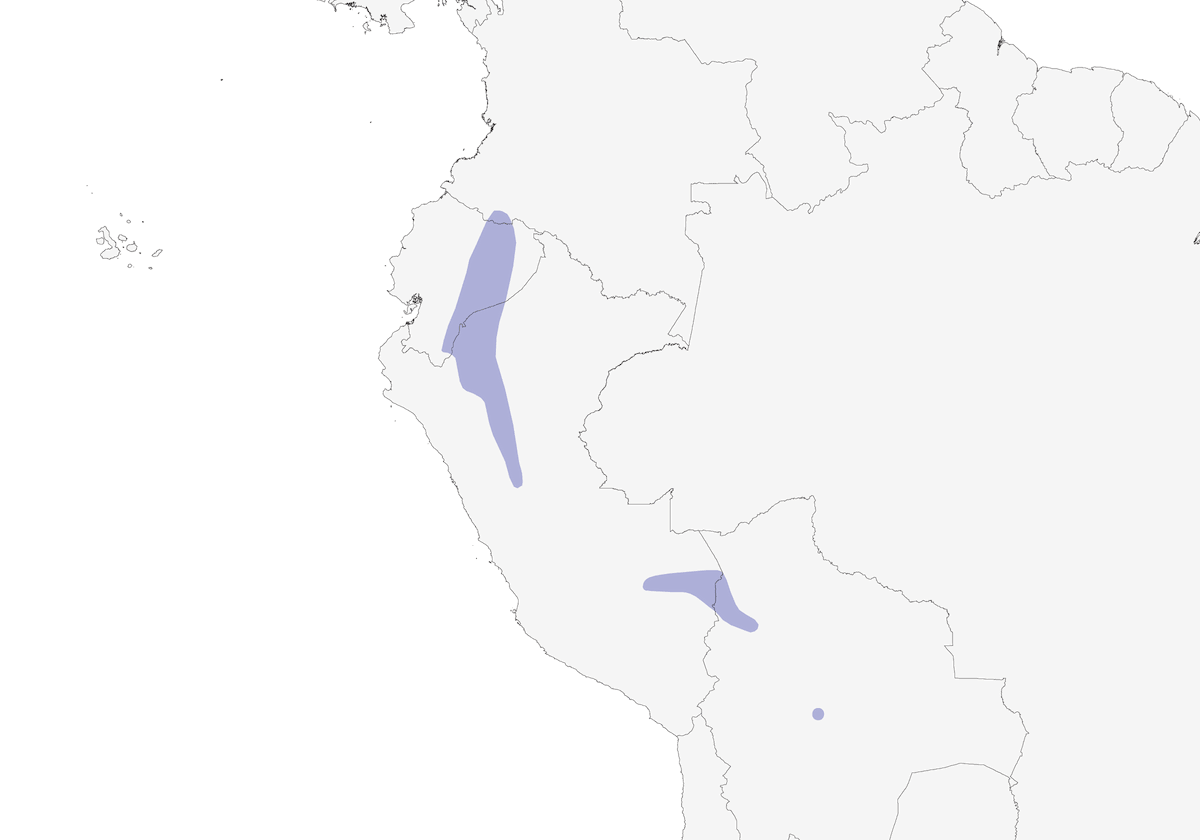 Black-billed Seed-Finch, Distribution 1