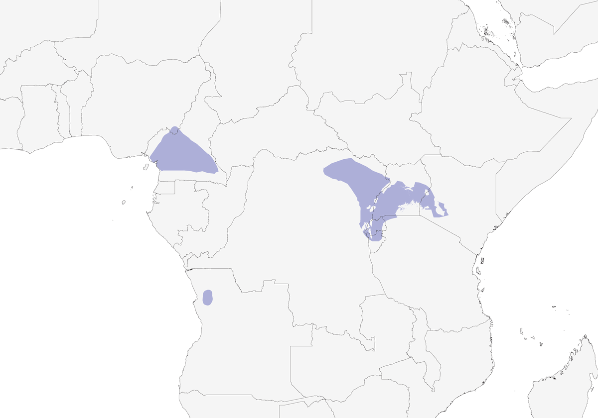 Usignolo delle boscaglie dorsorossiccio, Distribuzione 1