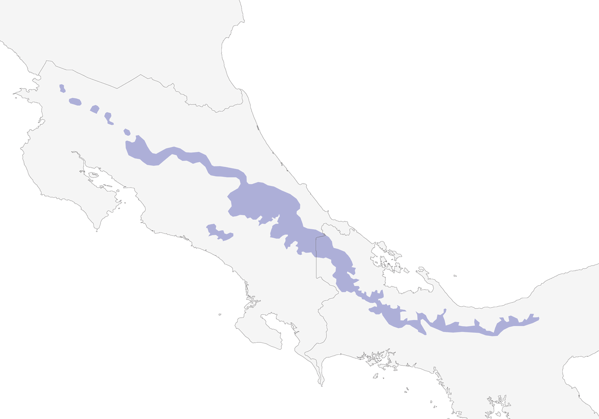Black-breasted Wood-Quail, Distribution 1