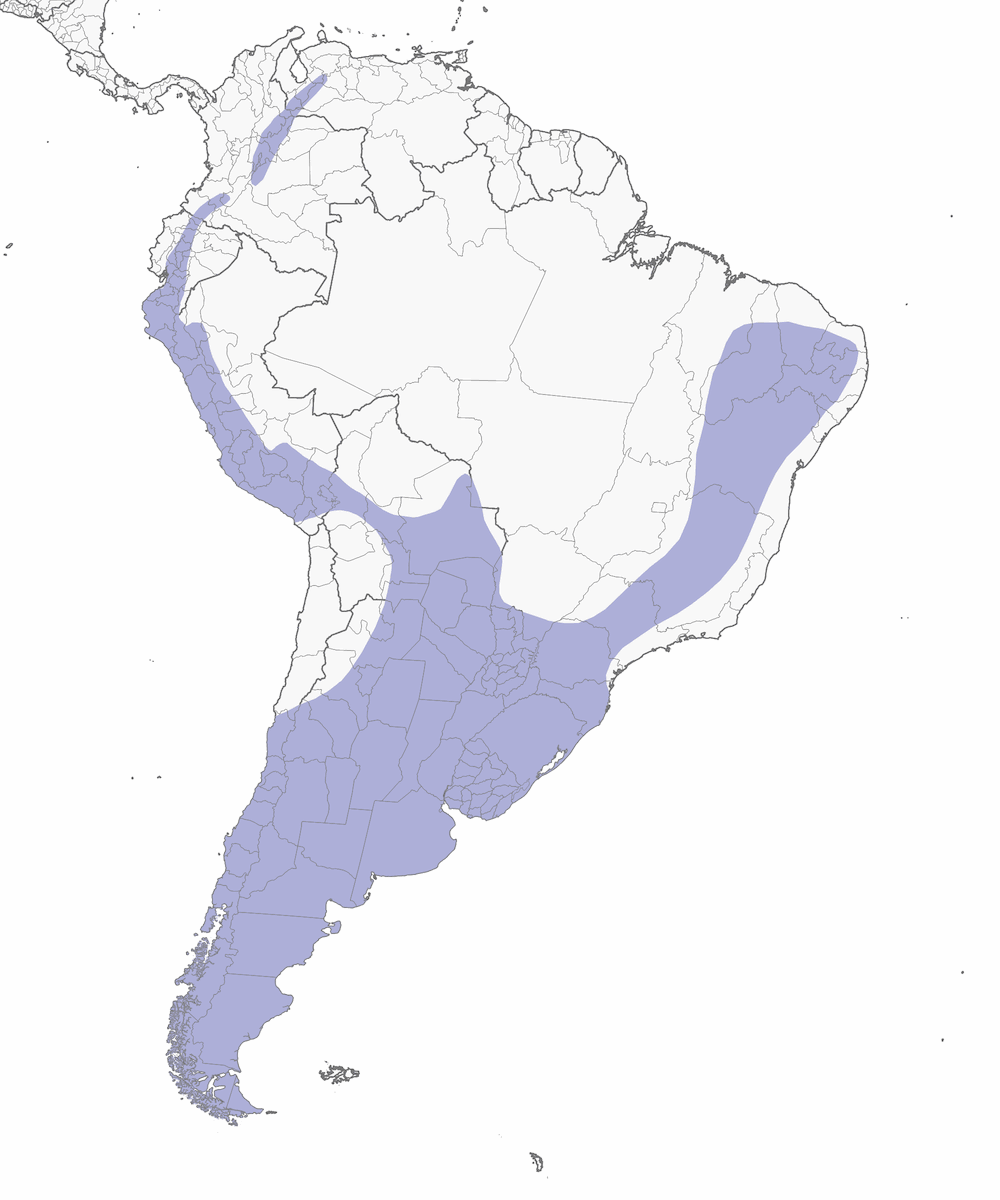 Black-chested Buzzard-Eagle, Distribution 1