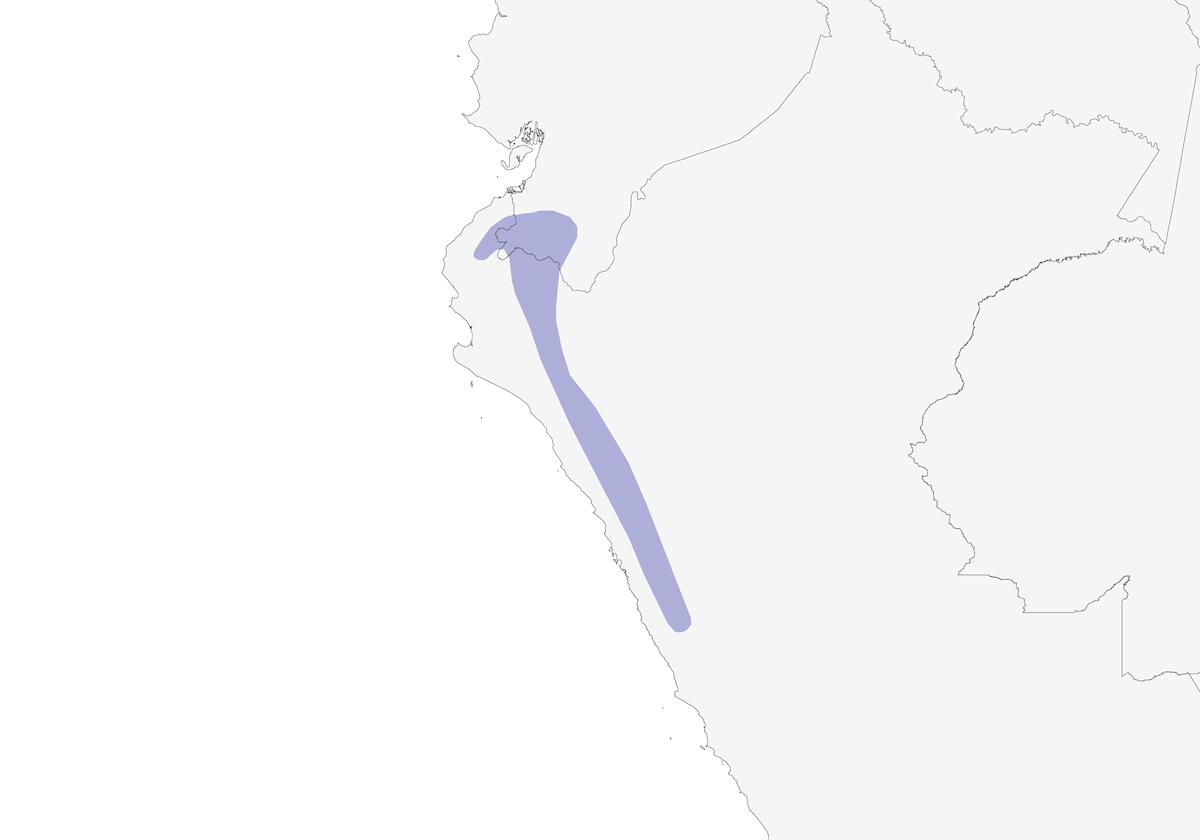 Pinzón de Matorral de Corona Castaña, Distribución 1