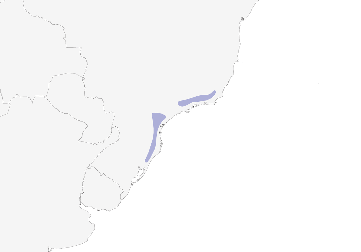 Bay-chested Warbling Finch, Distribution 1