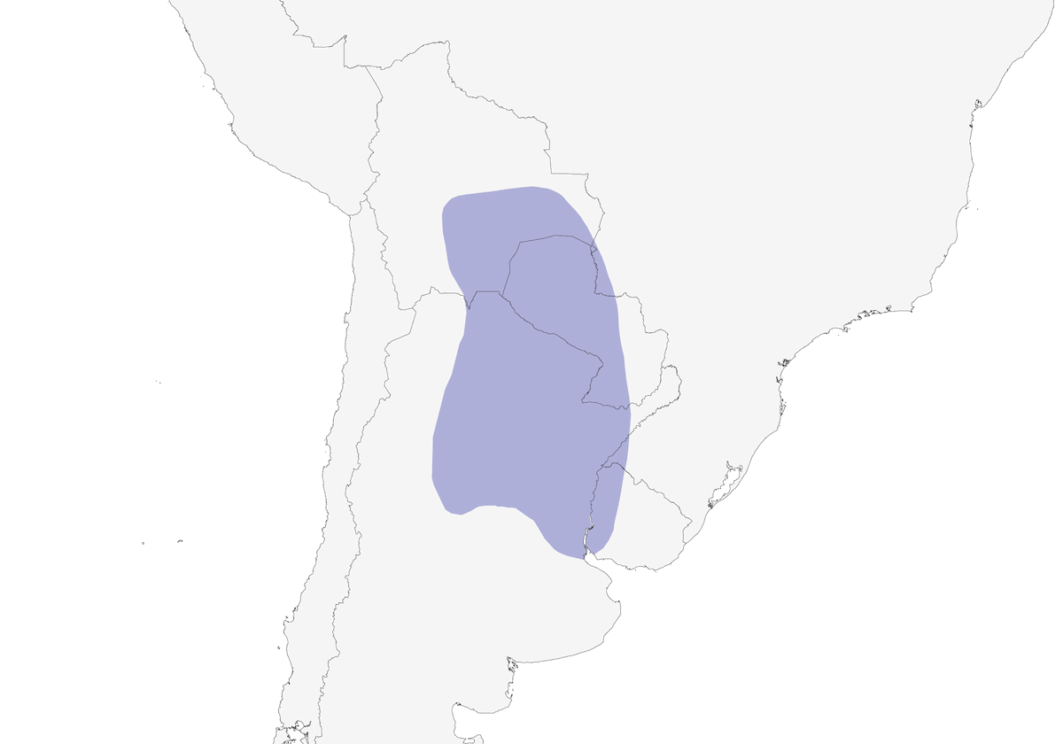 Black-capped Warbling Finch, Distribution 1