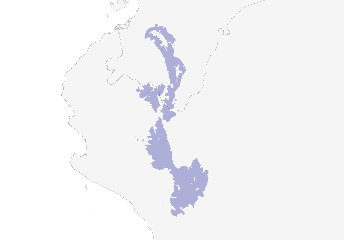 Pénélope barbue, Distribution 1