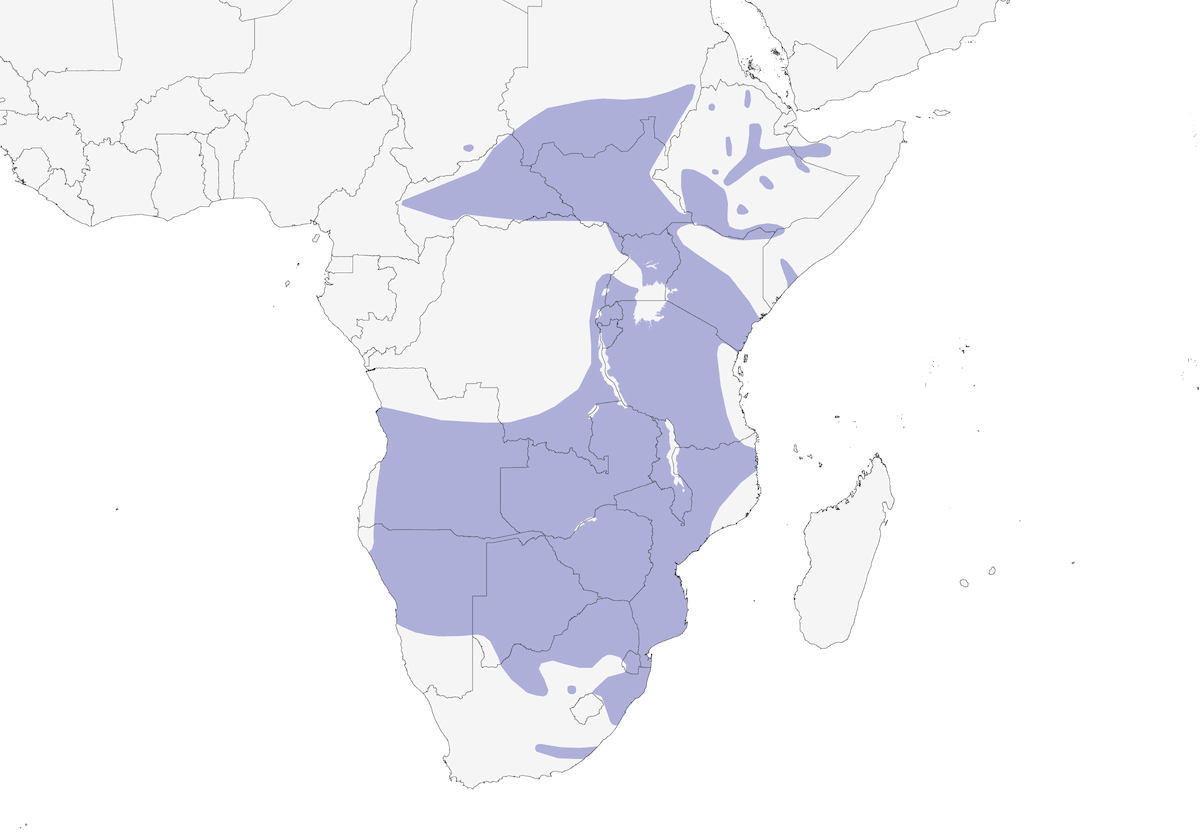 Bearded Woodpecker, Distribution 1