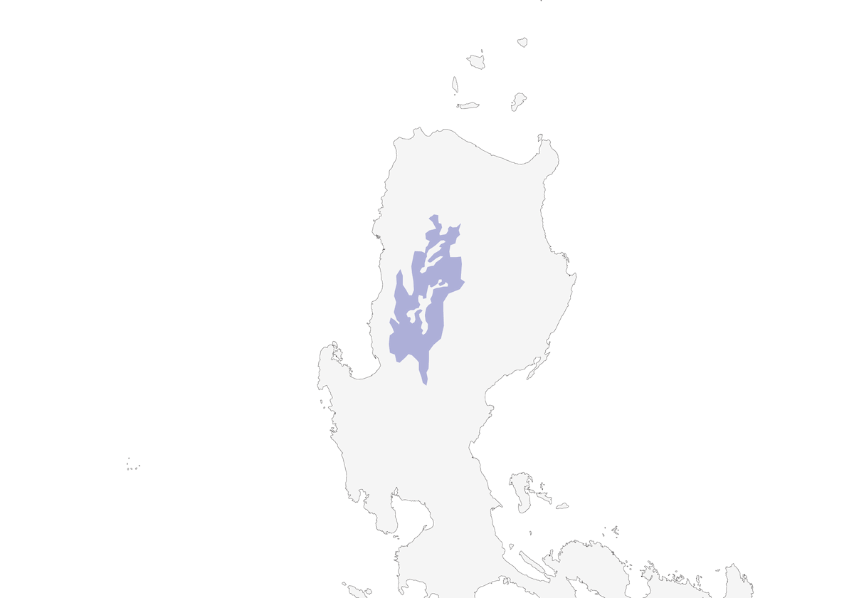 Benguet Bush Warbler, Distribution 1
