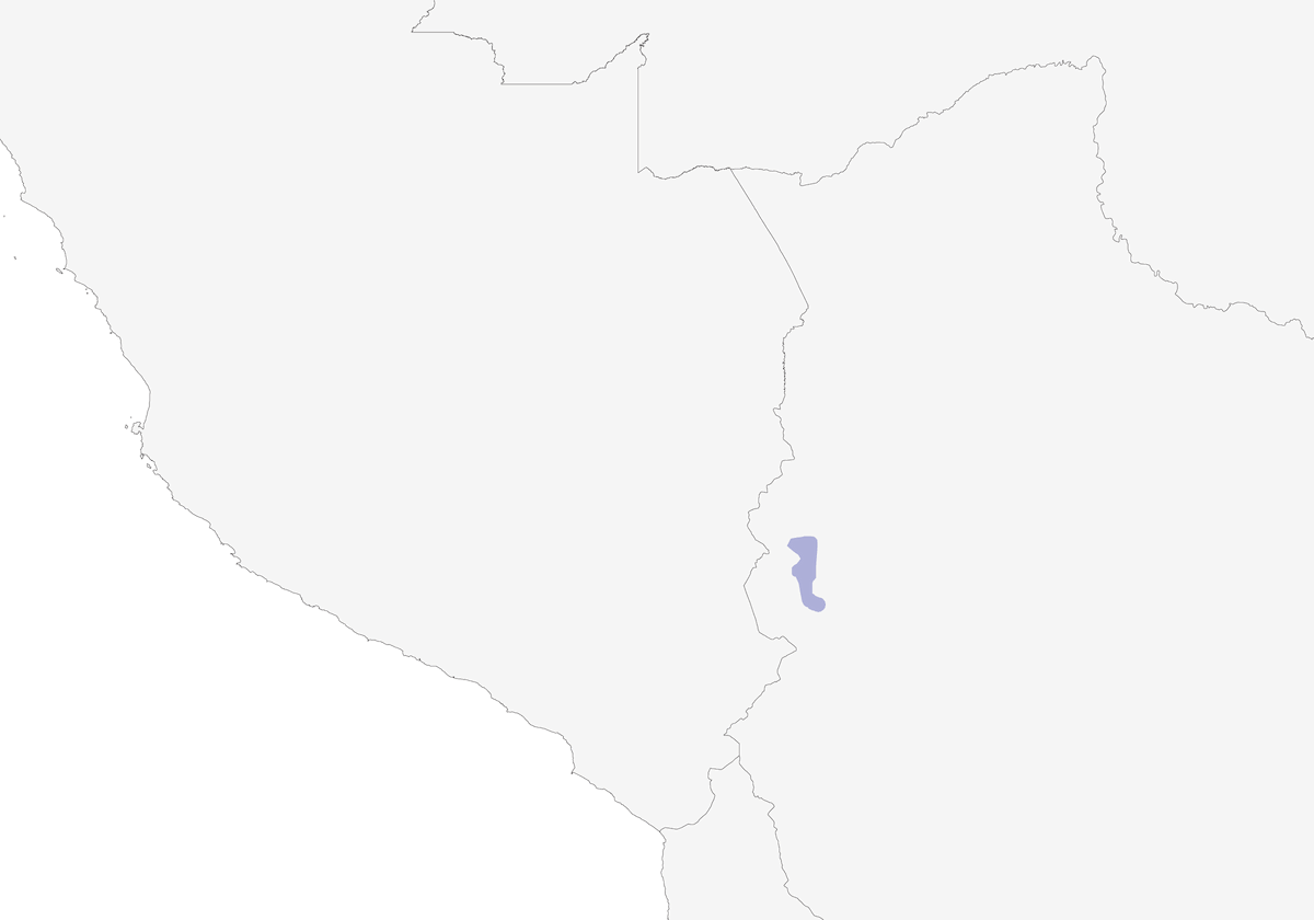Canastero de Berlepsch, Distribución 1