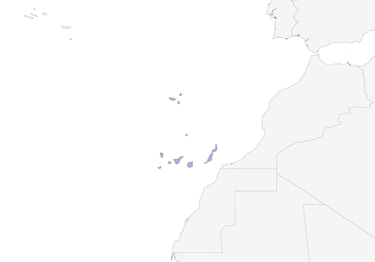 Bisbita de Berthelot, Distribución 1