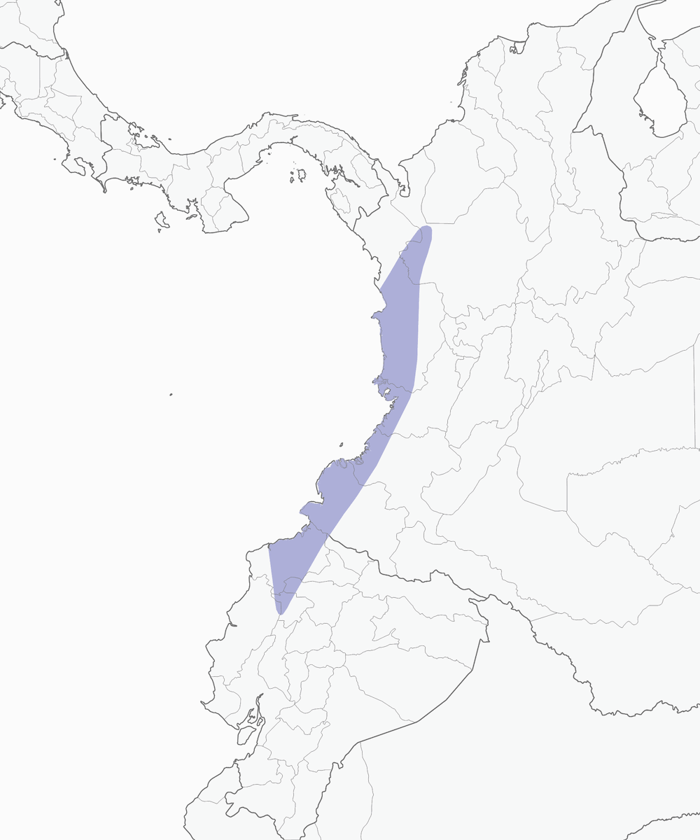 Berlepsch's Tinamou, Distribution 1