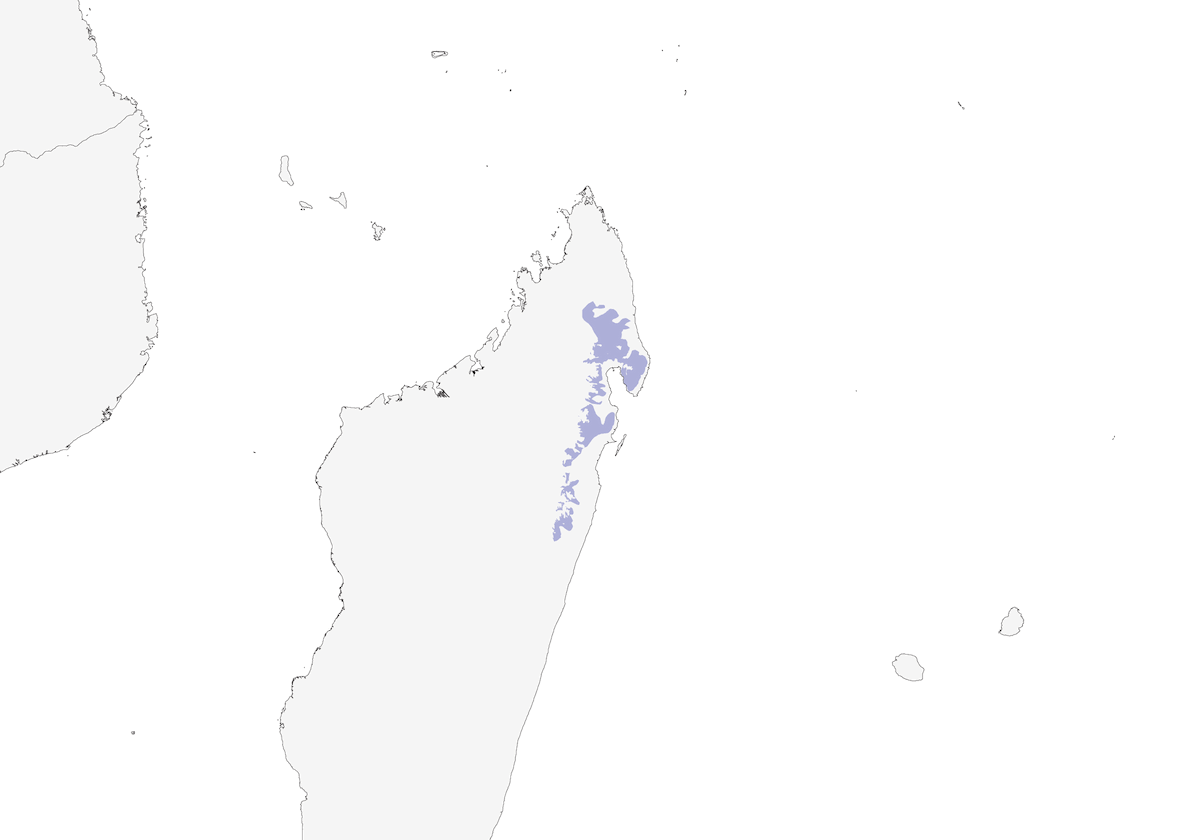 Vanga de Bernier, Distribución 1
