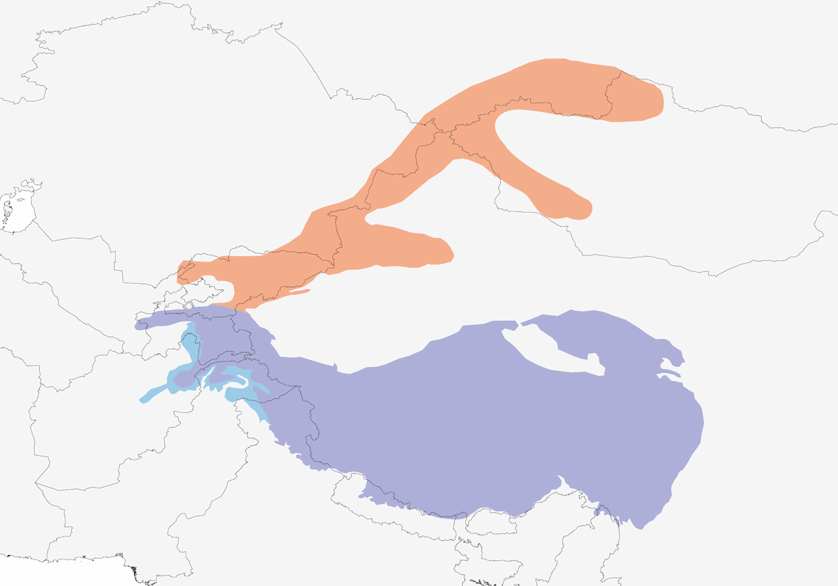 Fringuello montano testanera, Distribuzione 1