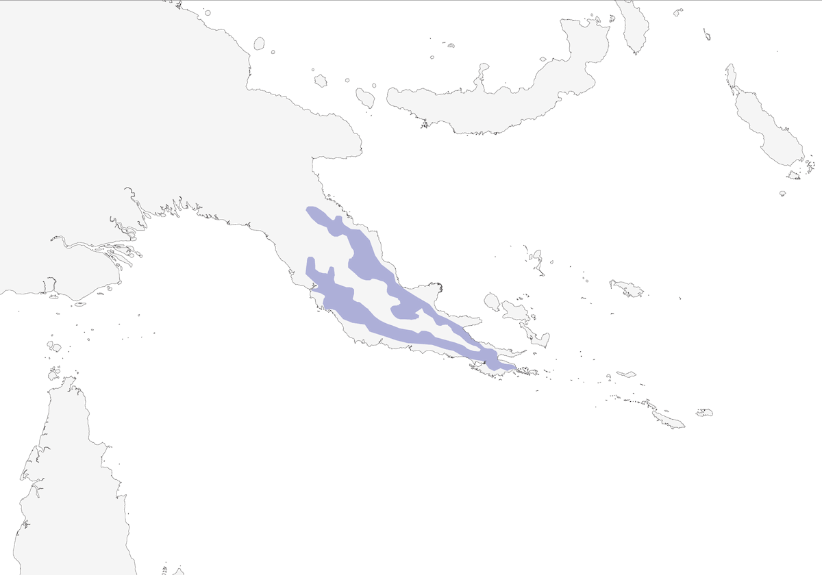 Brown-headed Paradise-Kingfisher, Distribution 1