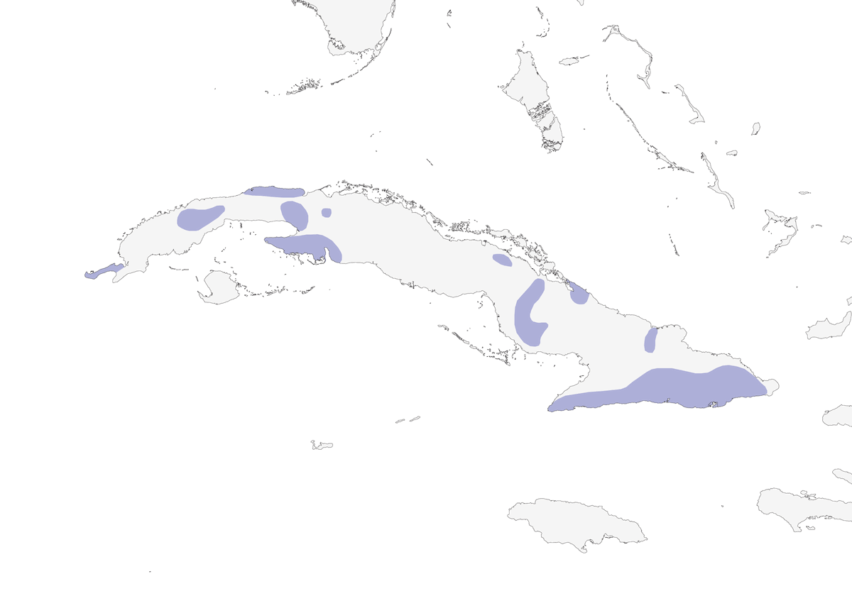 Blue-headed Quail-Dove, Distribution 1