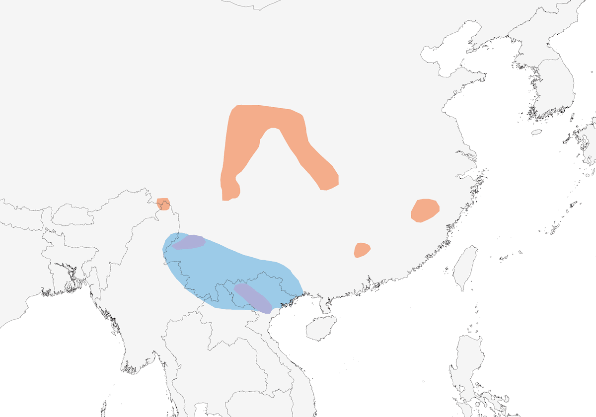 Luì di Bianchi, Distribuzione 1
