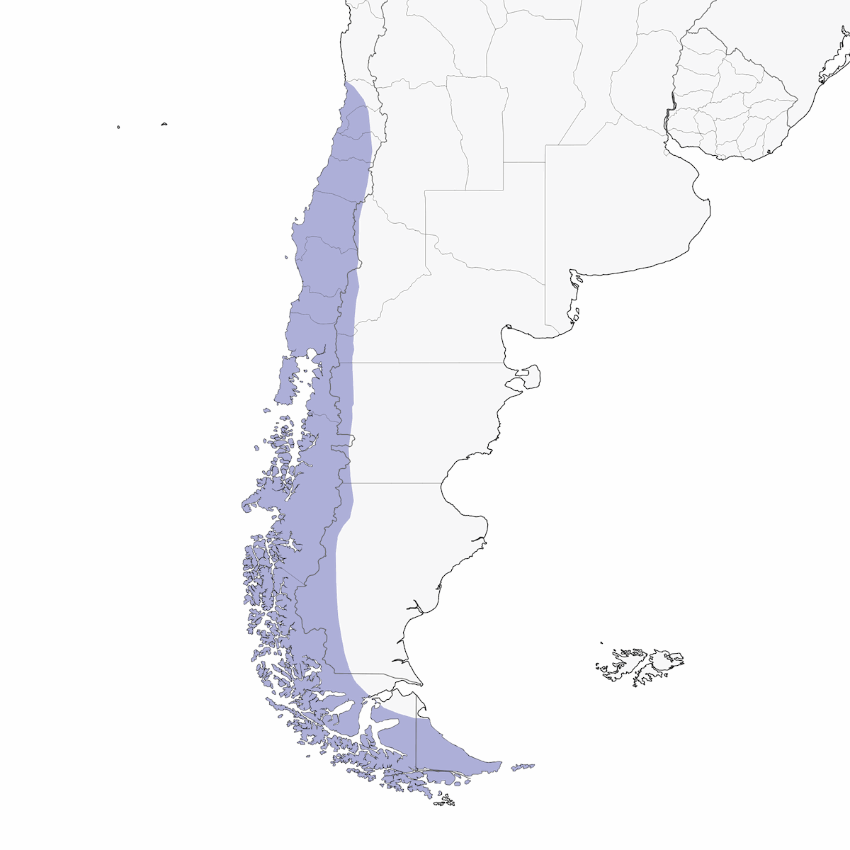 Aguilucho Chileno, Distribución 1