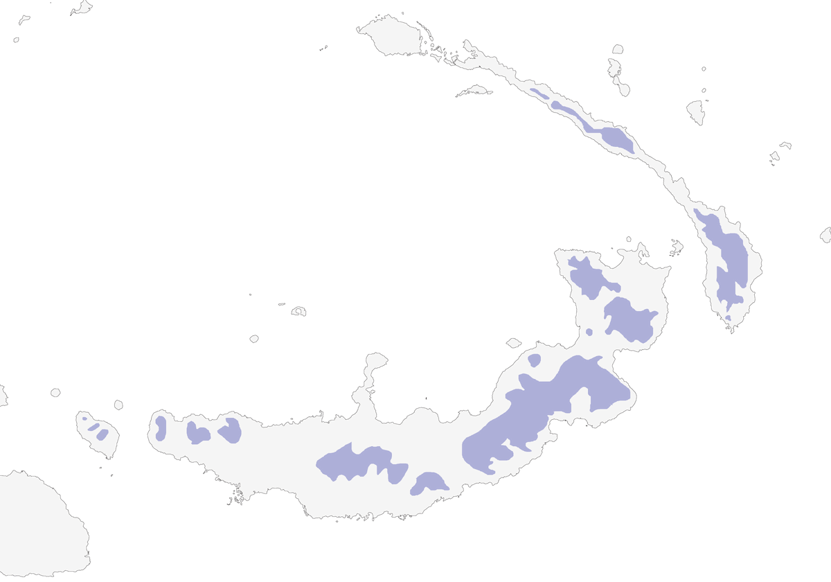 Bismarck Fantail, Distribution 1