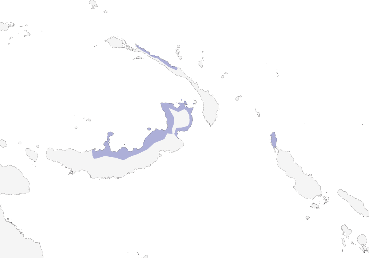 Munia di Bismarck, Distribuzione 1