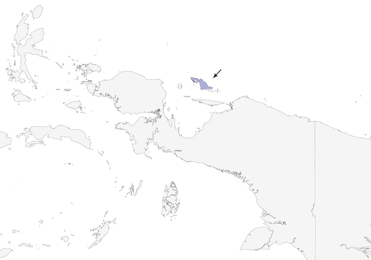 Anteojitos de Biak, Distribución 1