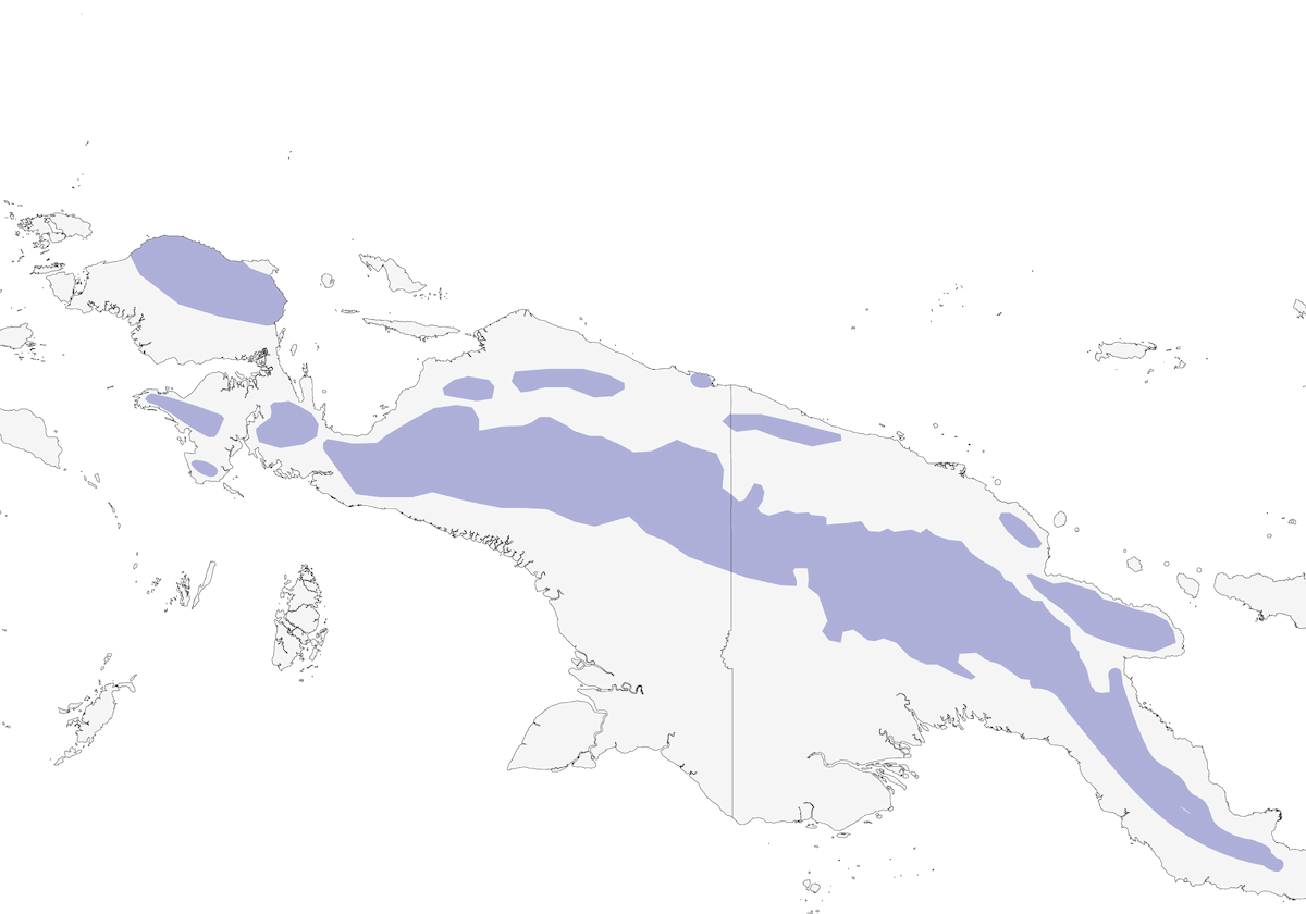 Black-bellied Cicadabird, Distribution 1