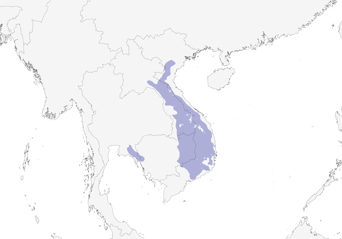 Black-browed Fulvetta, Distribution 1