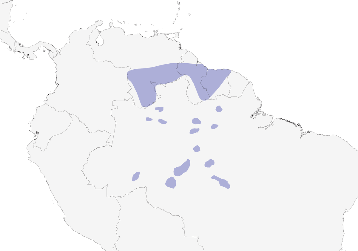 Grive de Campina, Distribution 1