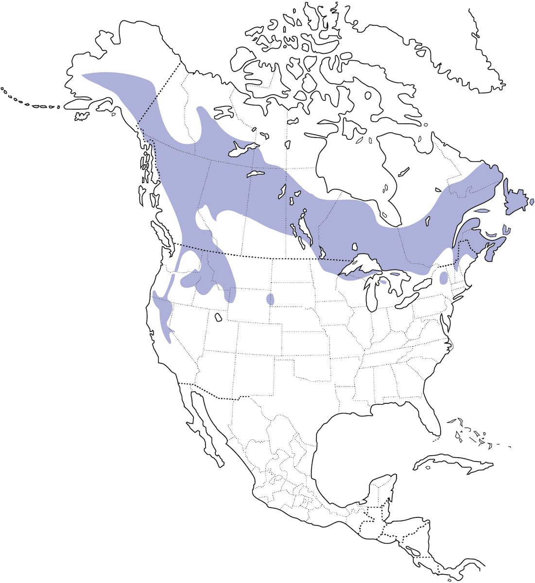 Black-backed Woodpecker, Distribution 1