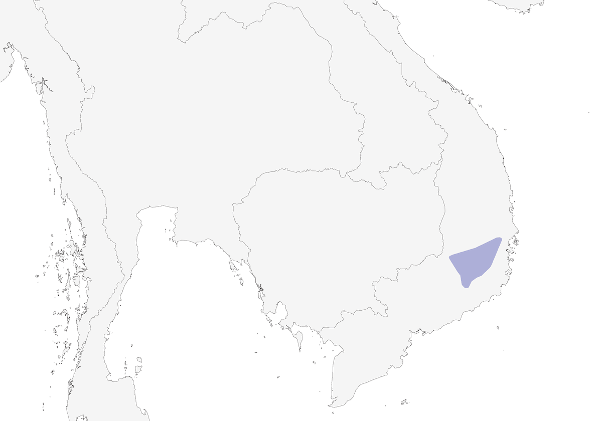 Black-crowned Fulvetta, Distribution 1
