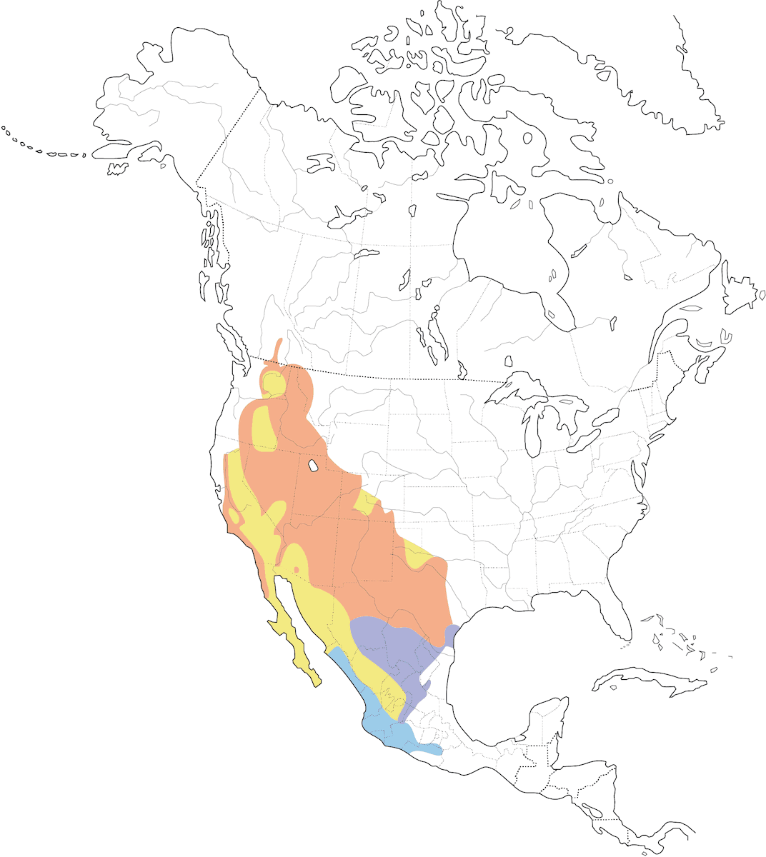 Colibrì gola nera, Distribuzione 1