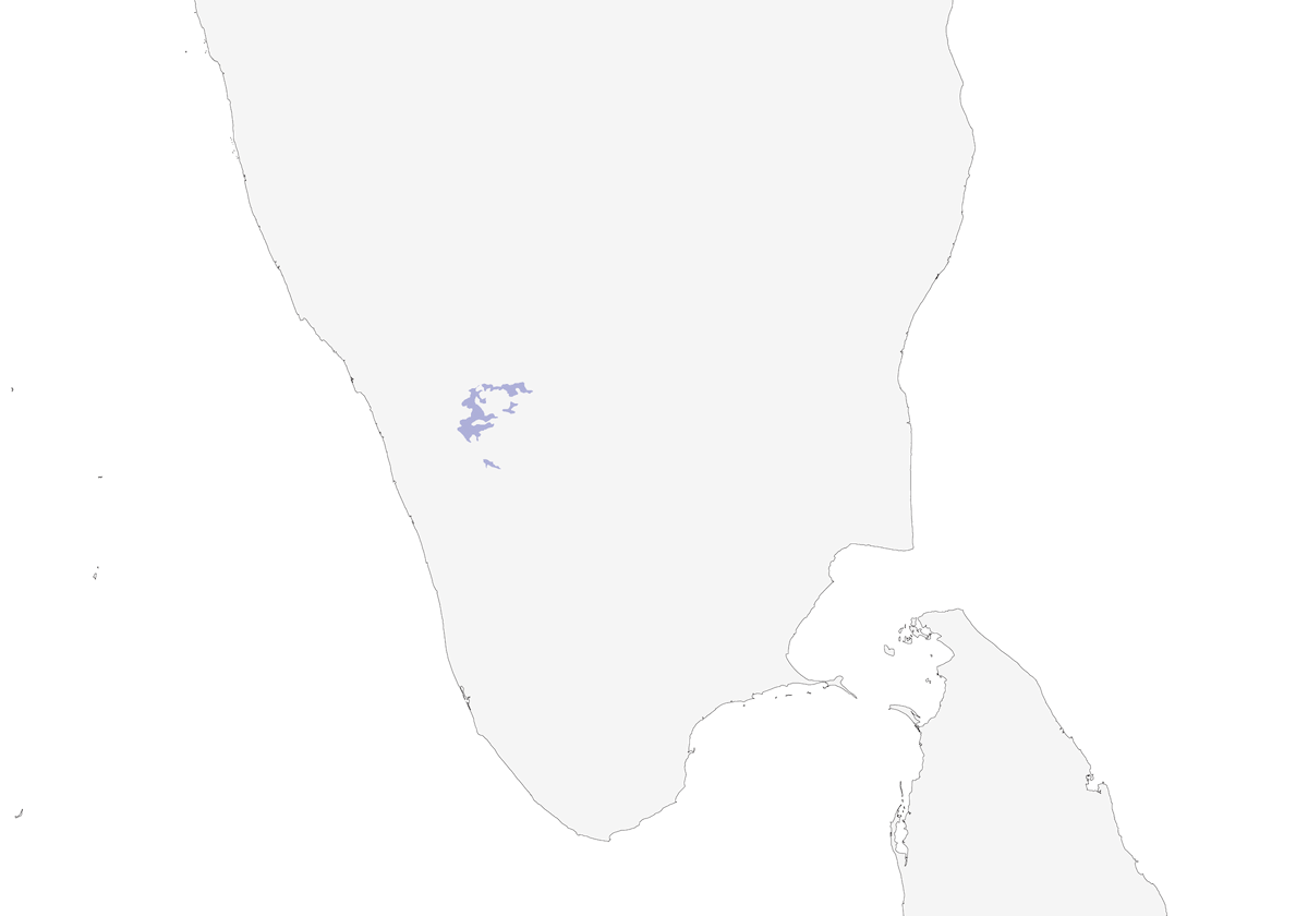 Nilgiri-Drossling, Verbreitung 1