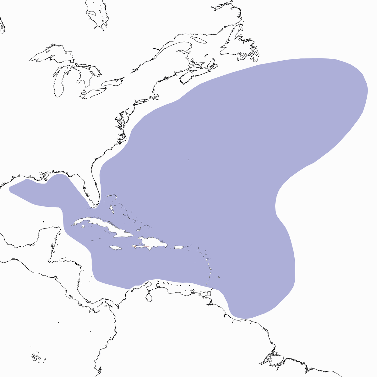 Black-capped Petrel, Distribution 1