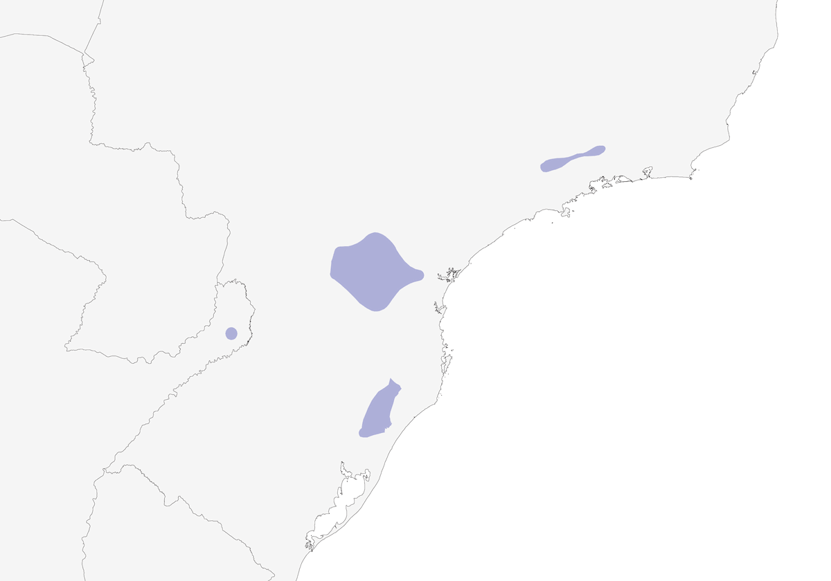 Piprites cabecinegro, Distribución 1