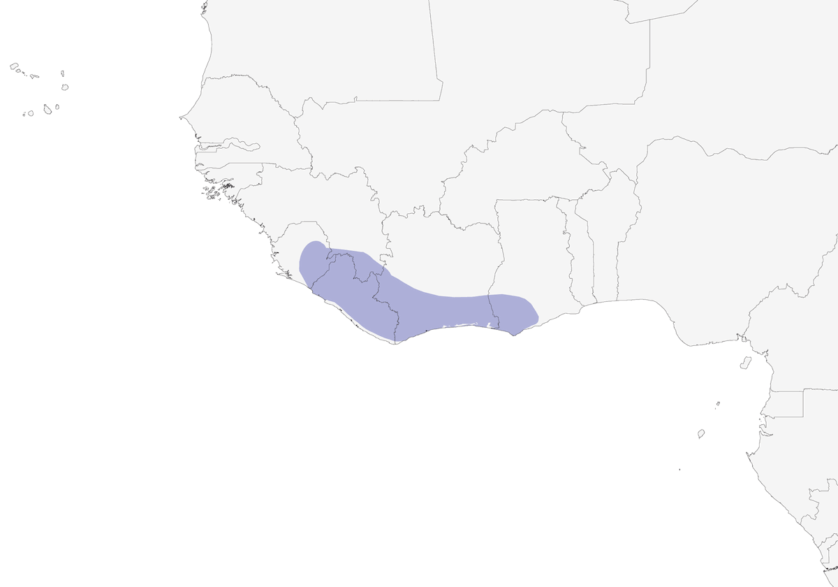 Black-capped Rufous-Warbler, Distribution 1