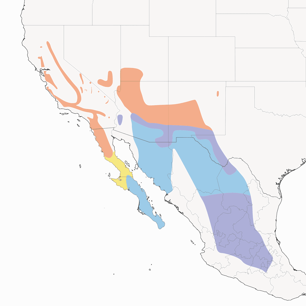Gorrión Barbinegro, Distribución 1