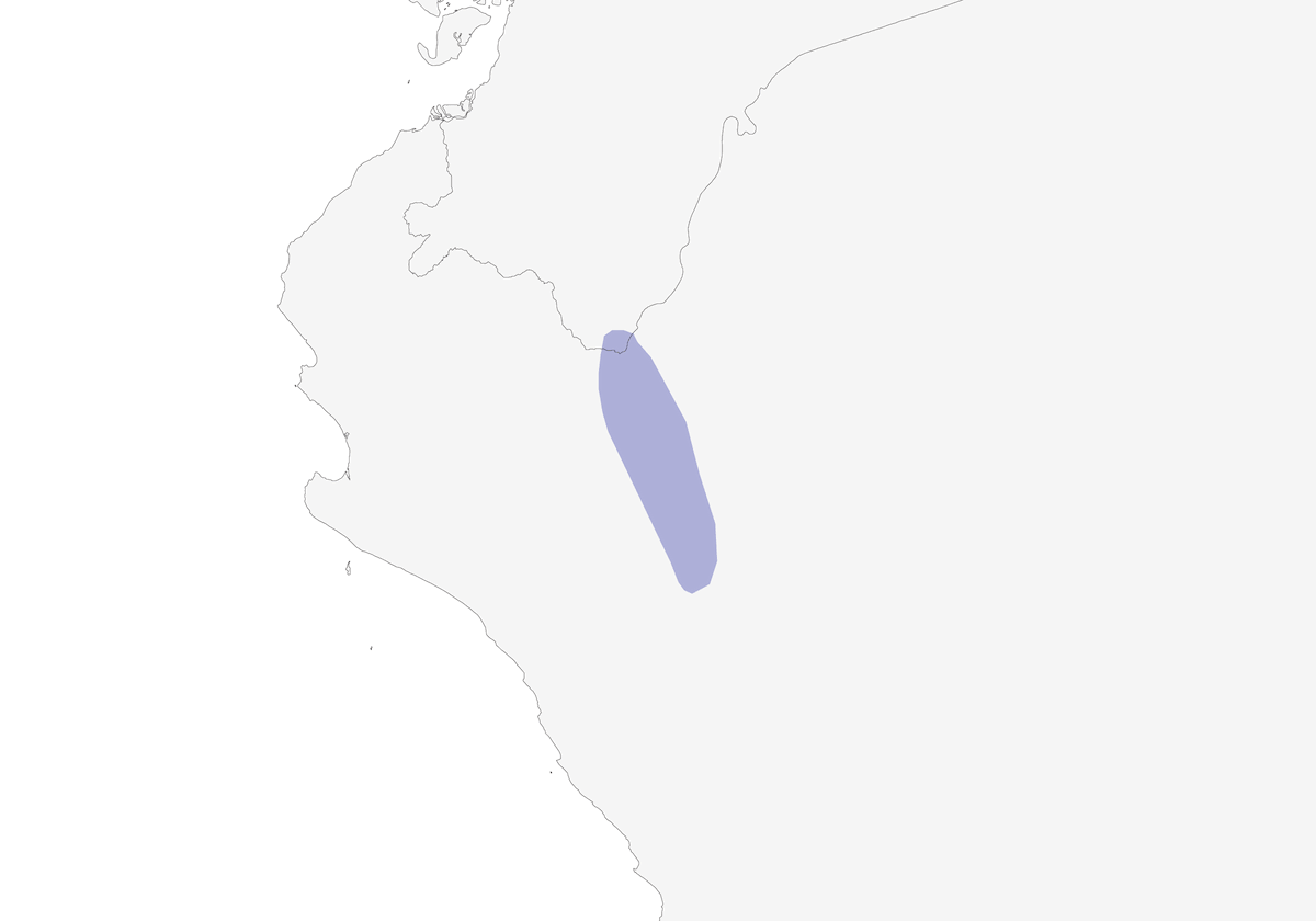 Marañon Sparrow, Distribution 1