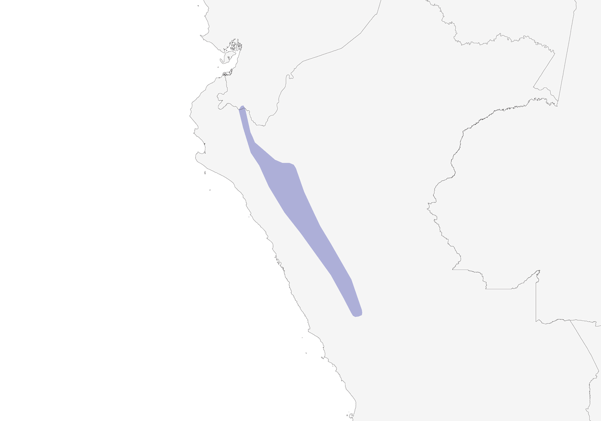 Black-crested Tit-Tyrant, Distribution 1