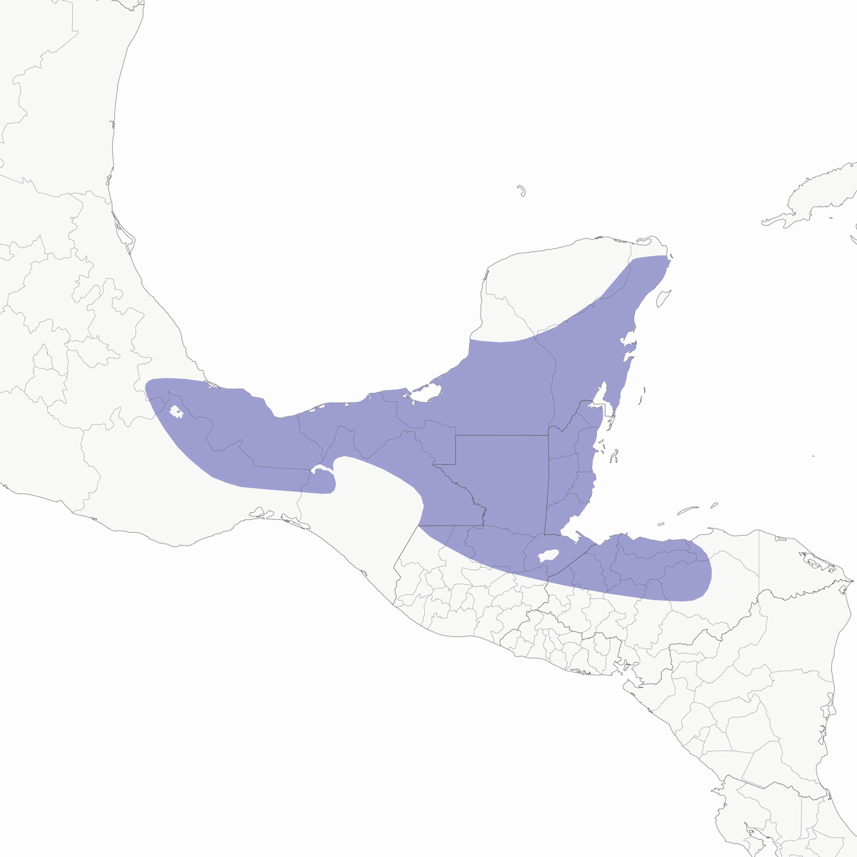 Formicario Maya, Distribuzione 1