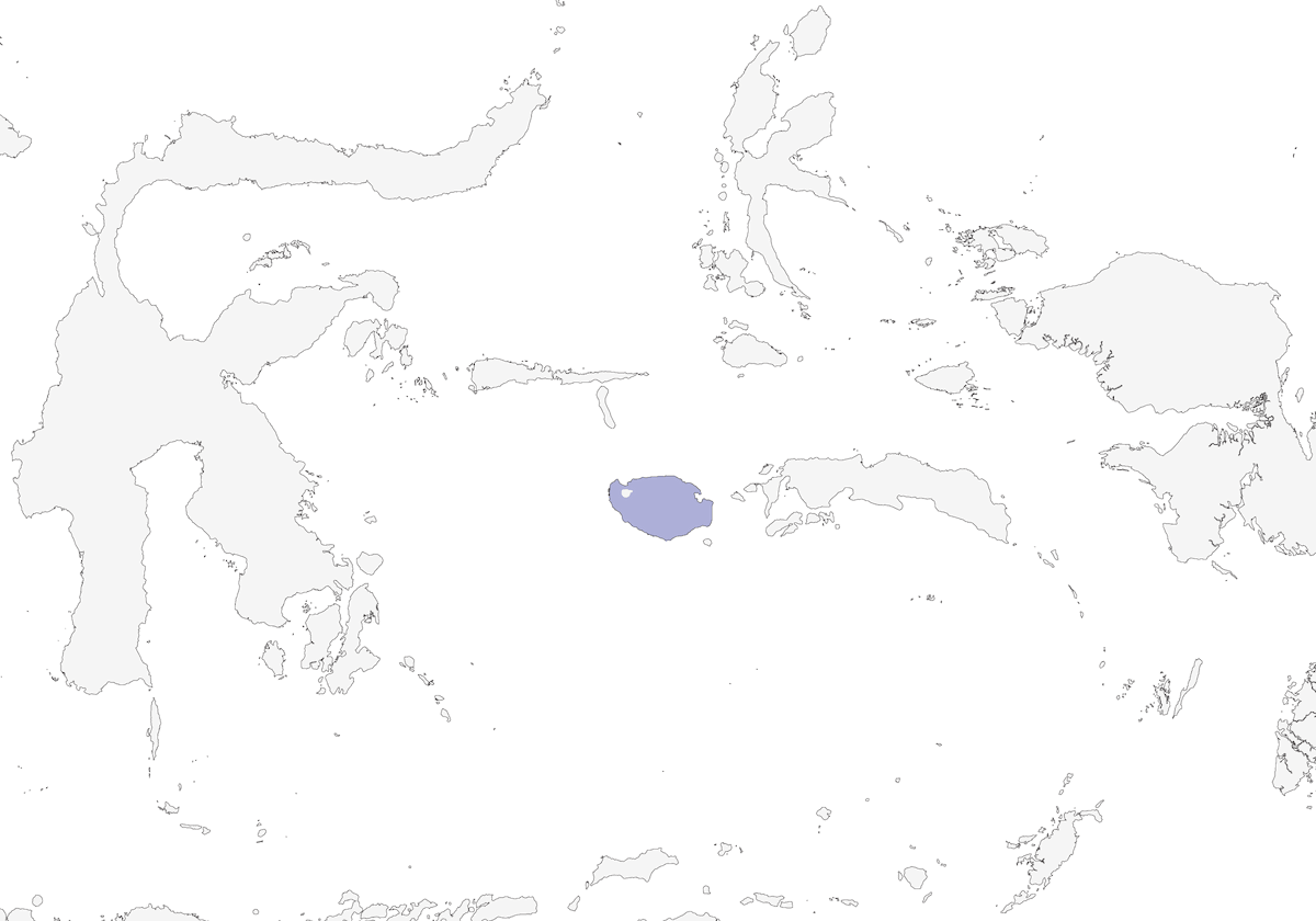 Oiseau-moine de Buru, Distribution 1