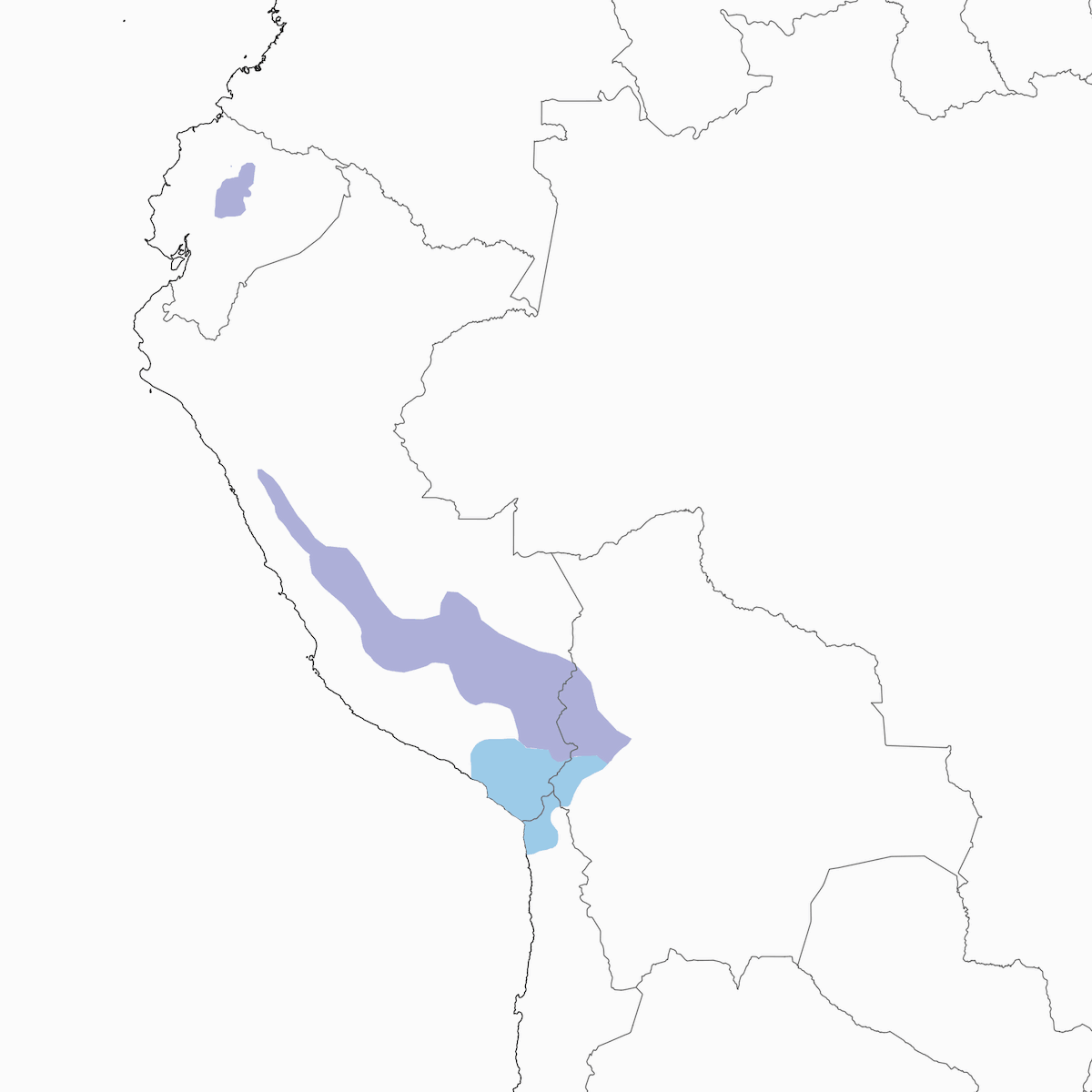 Andean Ibis, 分布 1