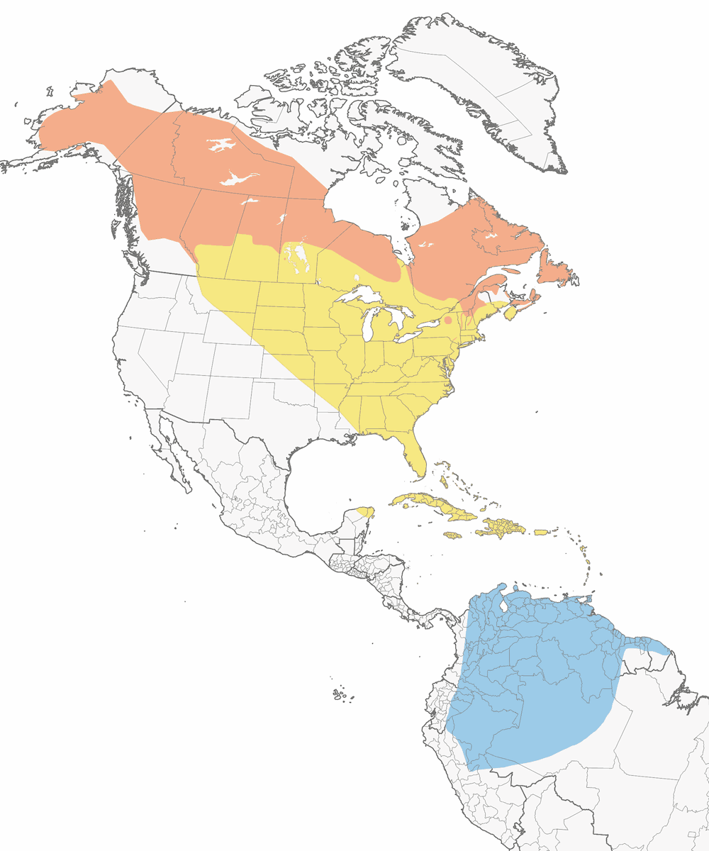 Blackpoll Warbler, Distribution 1