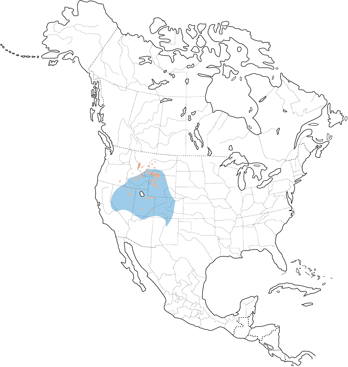 Pinzón Rosado Negro, Distribución 1